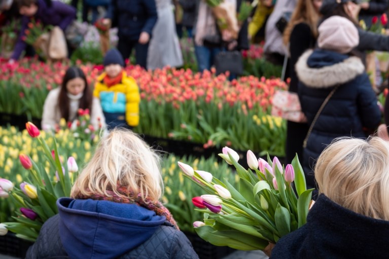 Grote tulpenpluk aan Centraal Station: 100.000 tulpen in amper drie uur allemaal weg