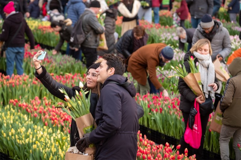 Grote tulpenpluk aan Centraal Station: 100.000 tulpen in amper drie uur allemaal weg