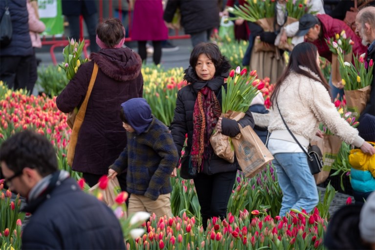 Grote tulpenpluk aan Centraal Station: 100.000 tulpen in amper drie uur allemaal weg