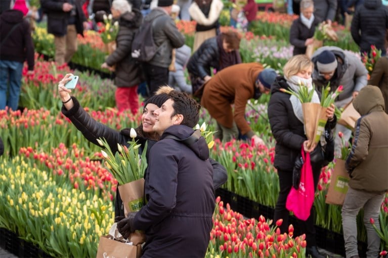 Grote tulpenpluk aan Centraal Station: 100.000 tulpen in amper drie uur allemaal weg