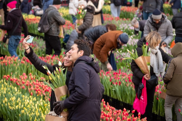 Grote tulpenpluk aan Centraal Station: 100.000 tulpen in amper drie uur allemaal weg