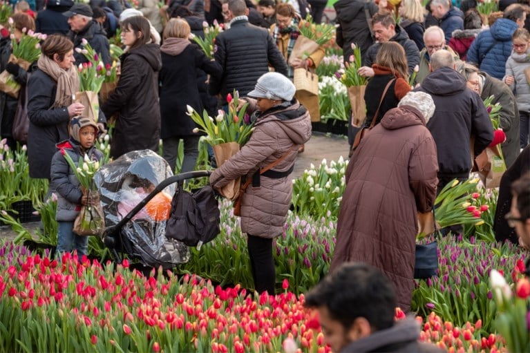 Grote tulpenpluk aan Centraal Station: 100.000 tulpen in amper drie uur allemaal weg