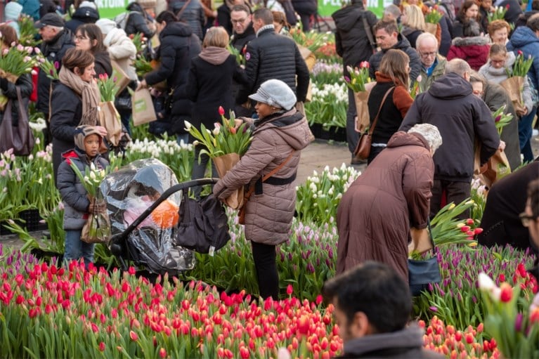 Grote tulpenpluk aan Centraal Station: 100.000 tulpen in amper drie uur allemaal weg