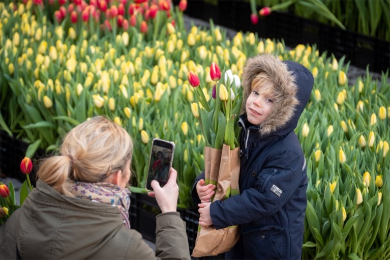 Grote tulpenpluk aan Centraal Station: 100.000 tulpen in amper drie uur allemaal weg