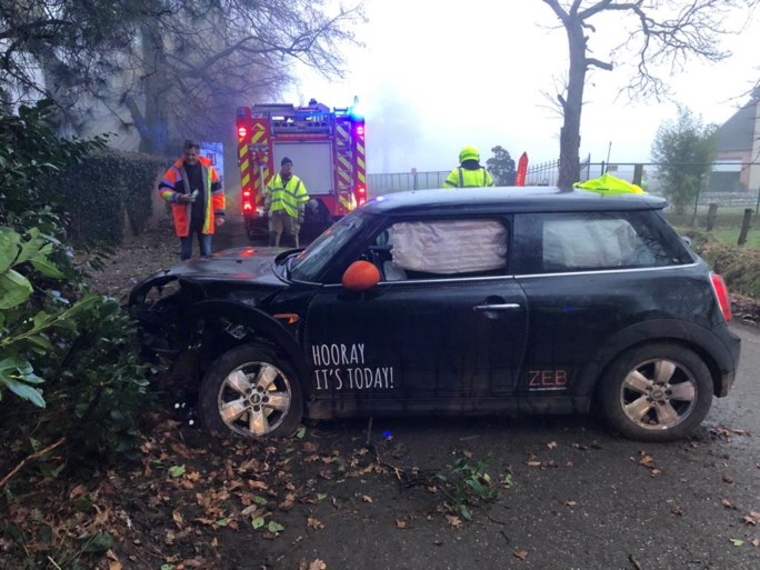 Autobestuurster gewond na knal tegen boom