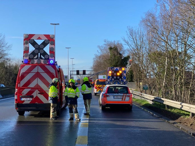 Twee rijstroken afgesloten op E313 om afgebroken boom te verwijderen