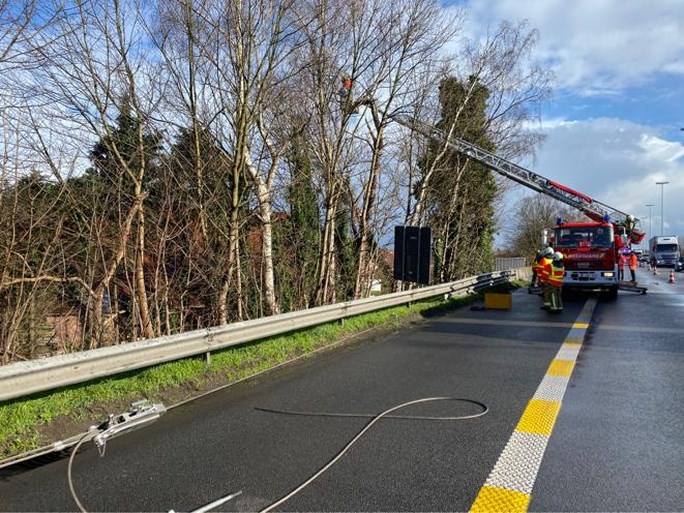Twee rijstroken afgesloten op E313 om afgebroken boom te verwijderen
