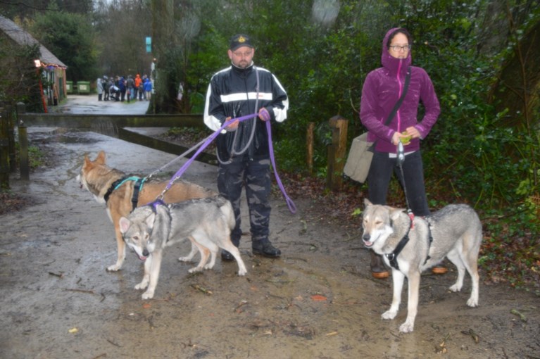 Wolvenwandeling in Zoerselbos wordt wel heel letterlijk genomen