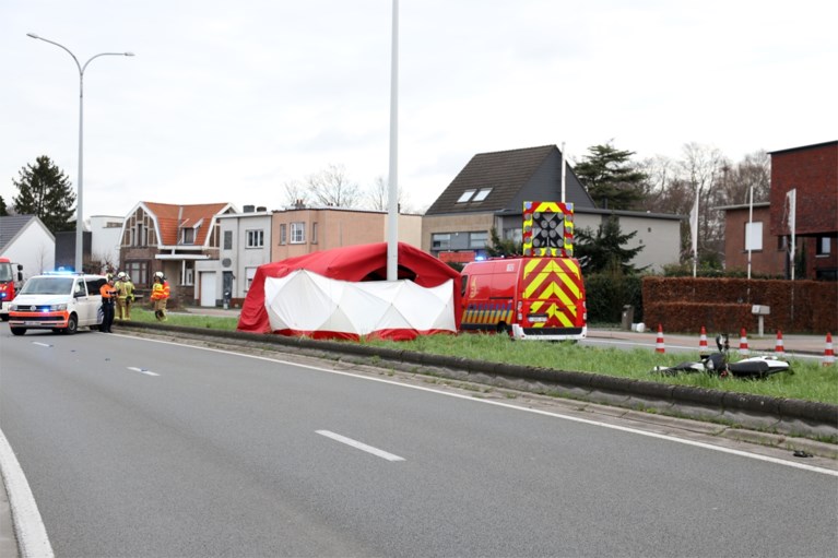 Motorrijder uit Edegem komt om het leven na klap tegen verlichtingspaal