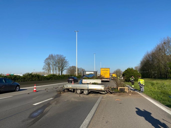 Lading potgrond en planten belandt over drie rijstroken na ongeval