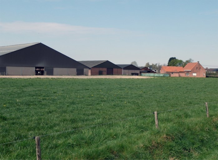 Coronawandelen in de Kempen: dit zijn onze tips