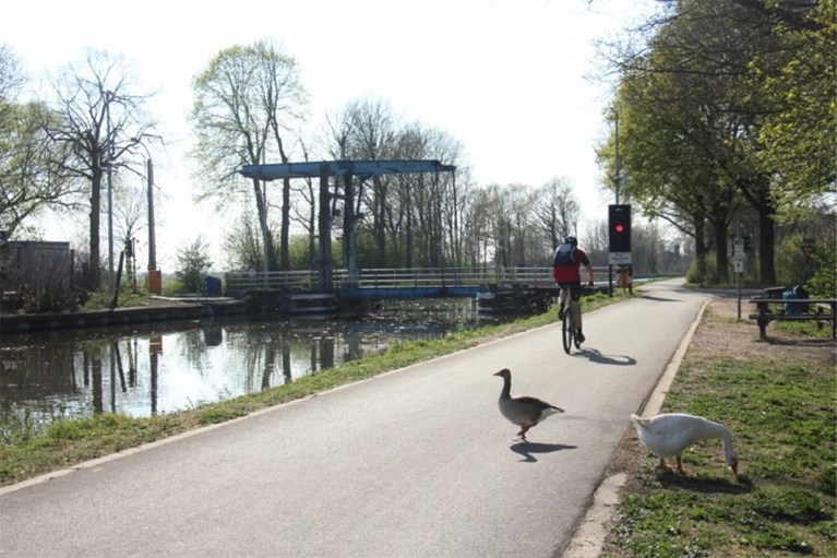 Coronawandelen in de Kempen: dit zijn onze tips