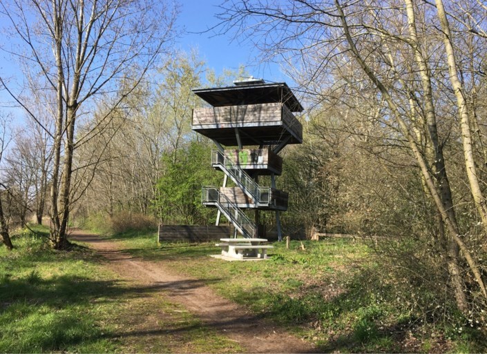 Coronawandelen in de Kempen: dit zijn onze tips