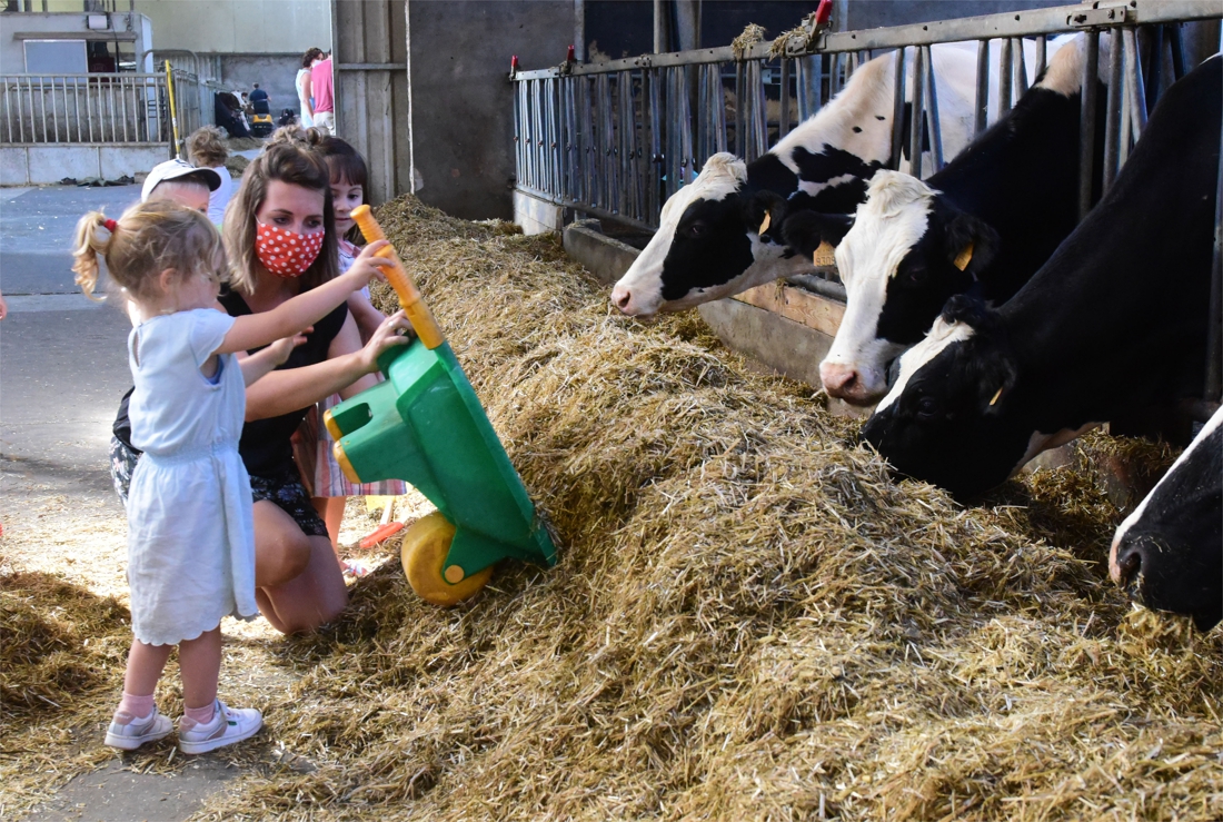 Kleuters helpen mee op boerderij “We hebben pasgeboren kalf... (Rijkevorsel) Gazet van Antwerpen