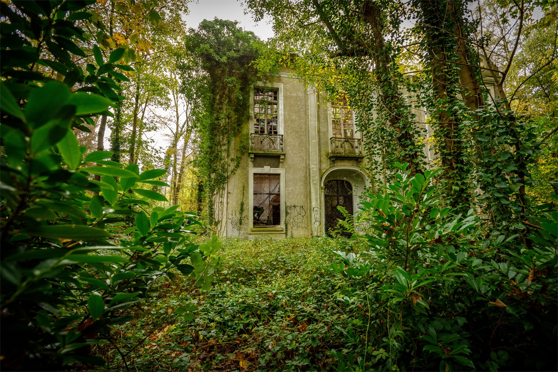 Overgrown domain with castle ruins will open in spring 2021 for … (Mechelen)