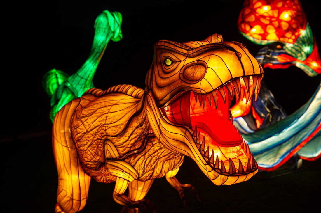 Light festivals Zoo Antwerp and Planckendael are canceled (Antwerp)