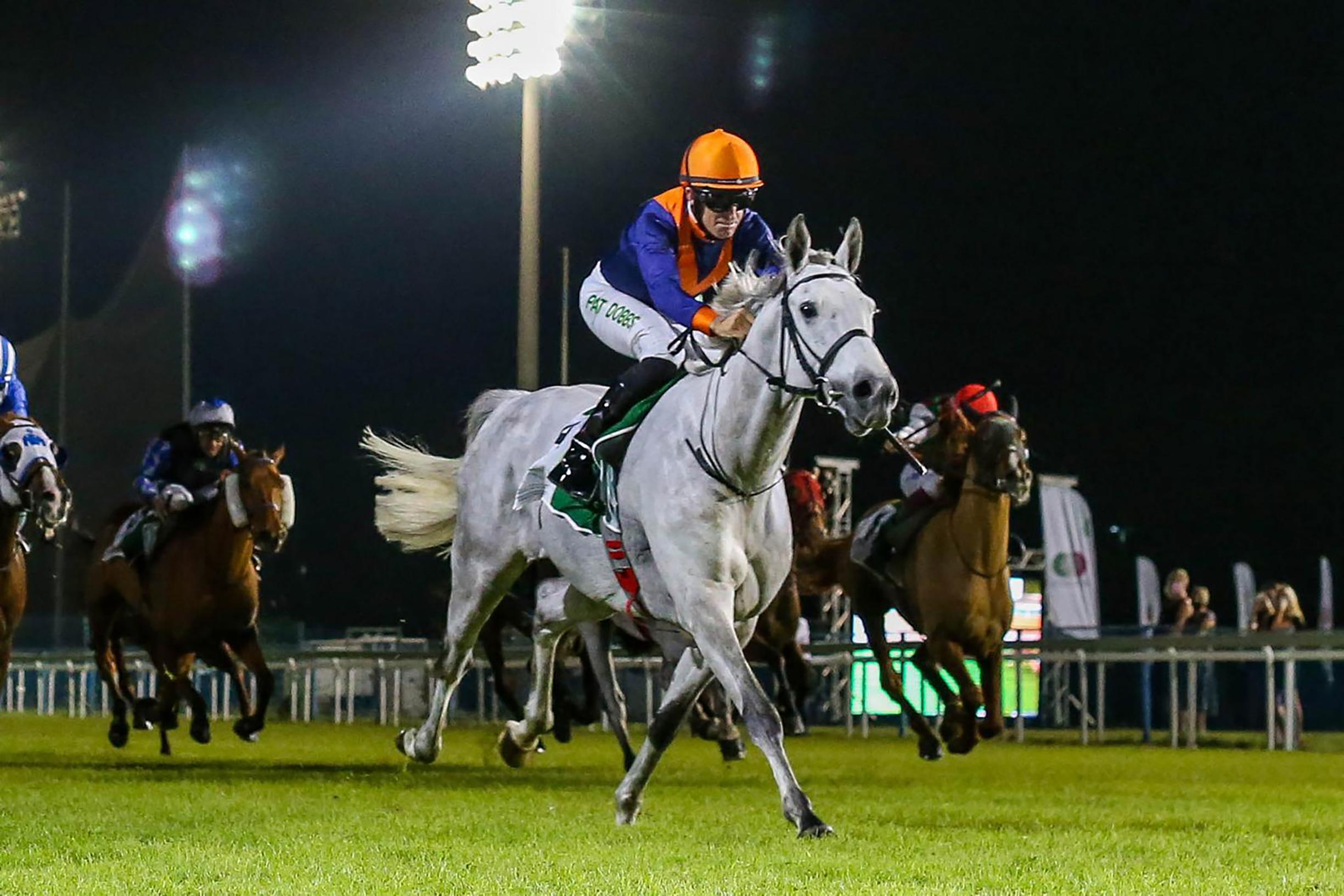 Renpaard uit Geel wint prestigieuze race in Abu Dhabi, goed voor 680.000 | Gazet van Antwerpen Mobile