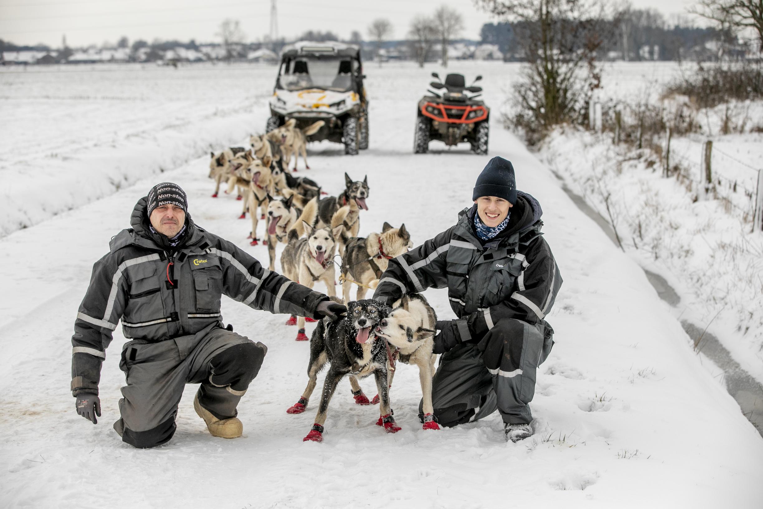 min Dalset Overdreven Kempense sledehondenracer traint husky's in en rond Poederlee | Gazet van  Antwerpen Mobile