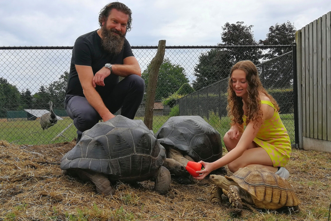 ZOMERREEKS. Christophe en Flo hebben vijftig landschildpadden in hun tuin: “in de winter kruipen ze op onze schoot”