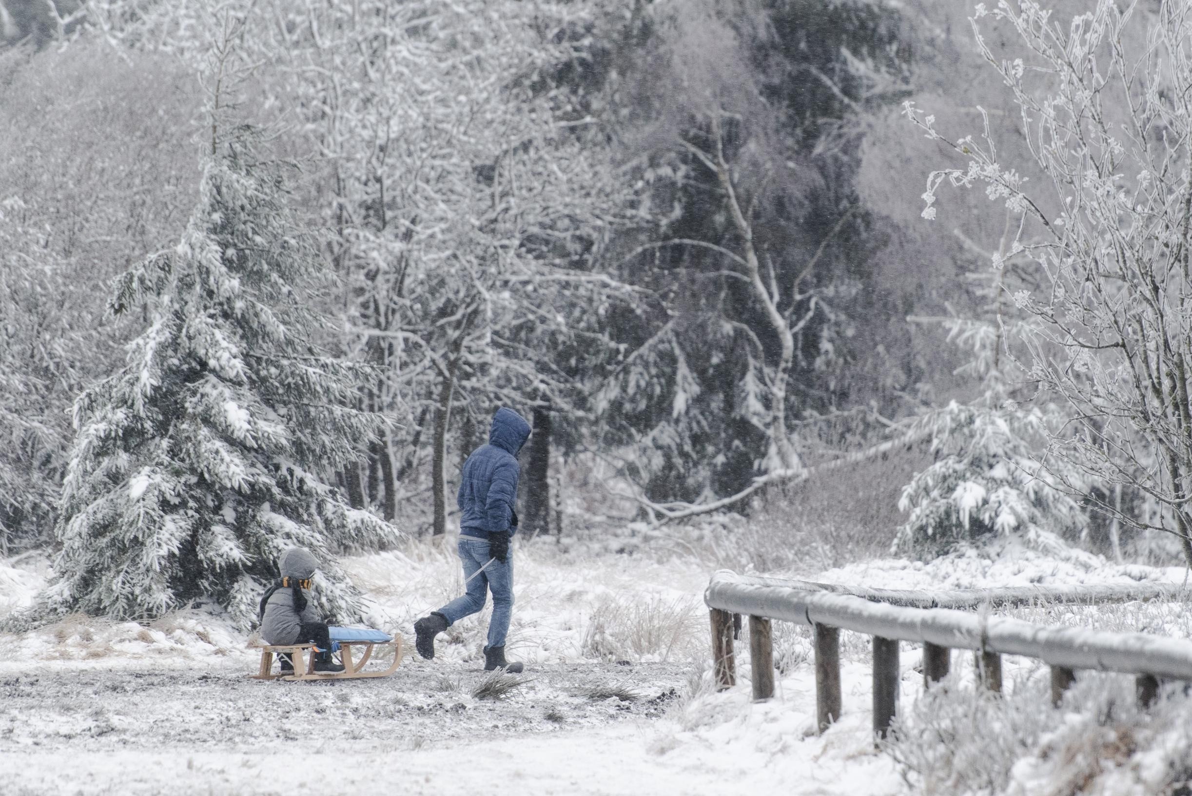 Mogelijk tot 20 cm sneeuw in de Ardennen en ook smeltende sneeuw in de Kempen