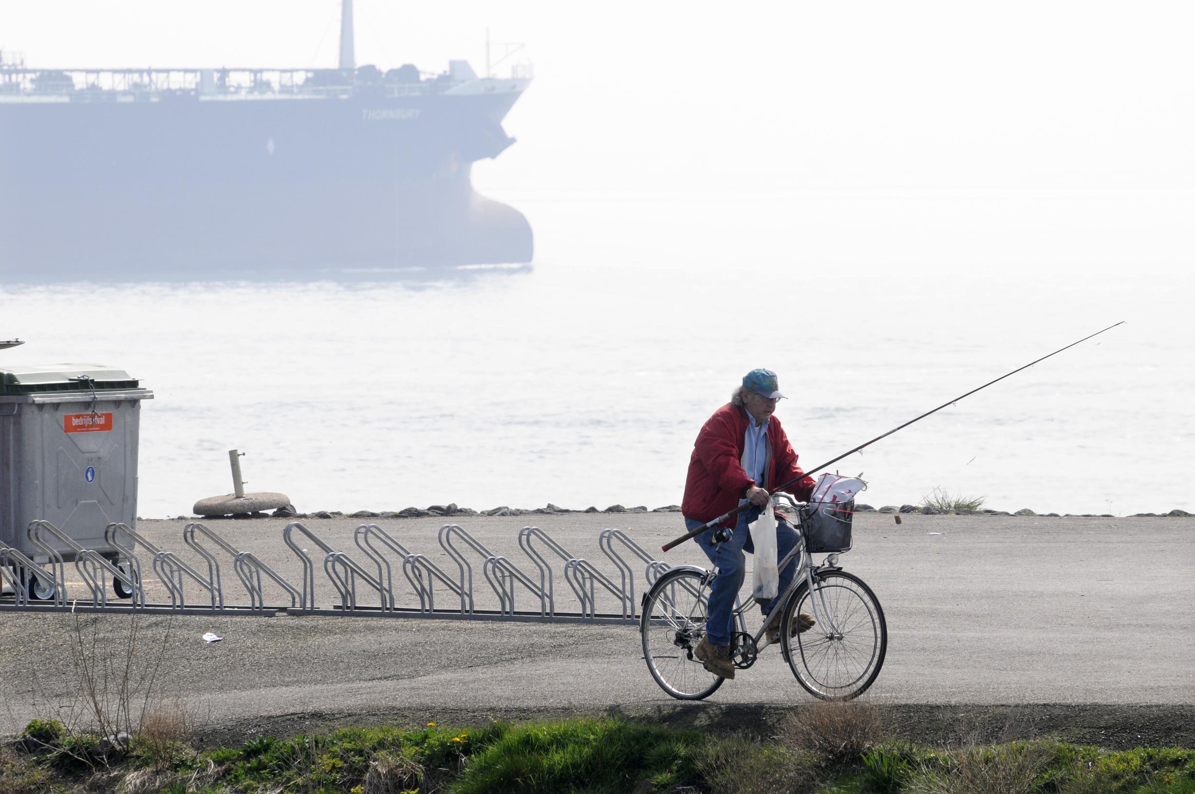 Milieuchemicus Waarschuwt Eet Geen Vis Uit De Westerschelde Gazet