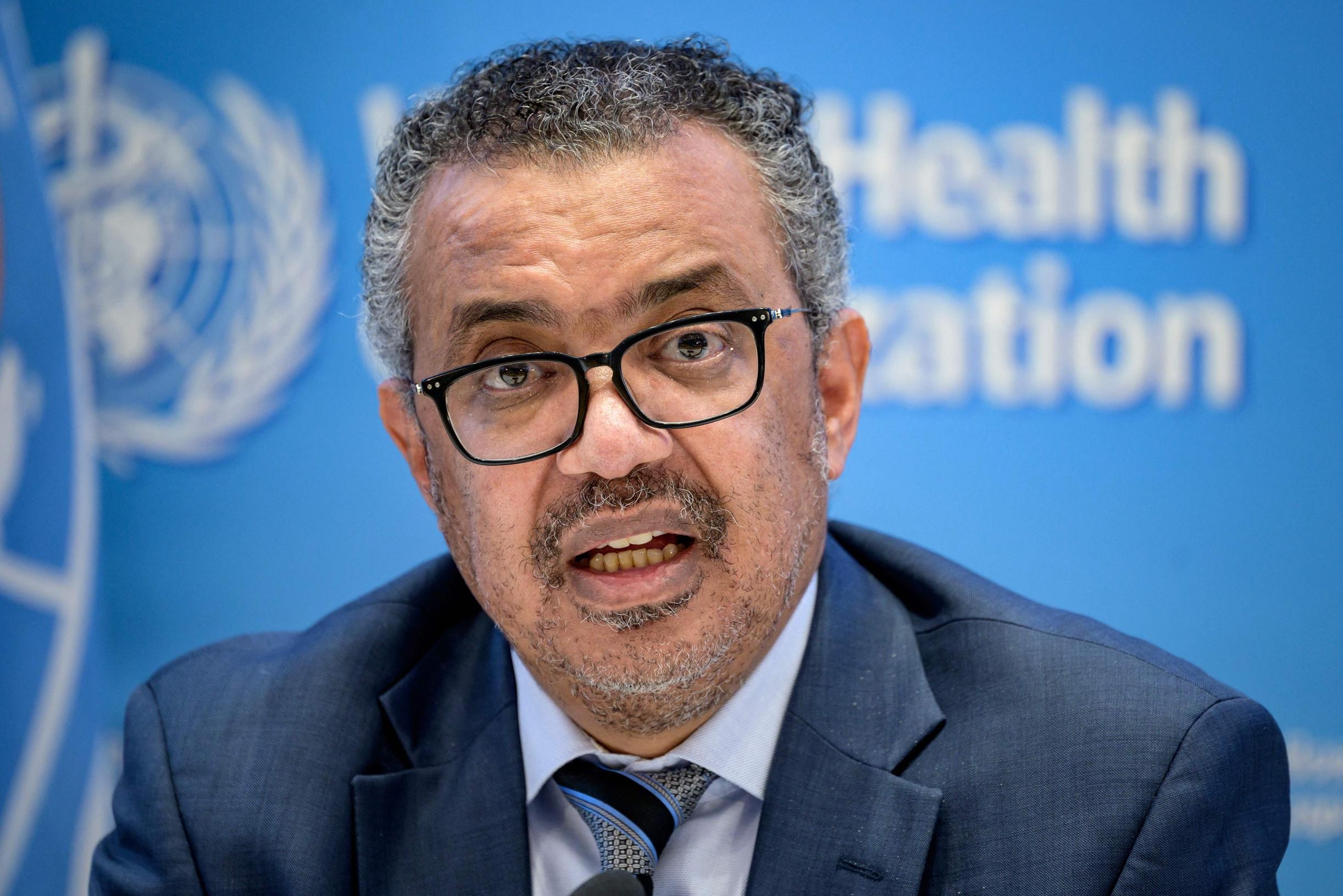 World Health Organization (WHO) top man fears outbreak of corona infections after holidays: “Postpone your meetings”