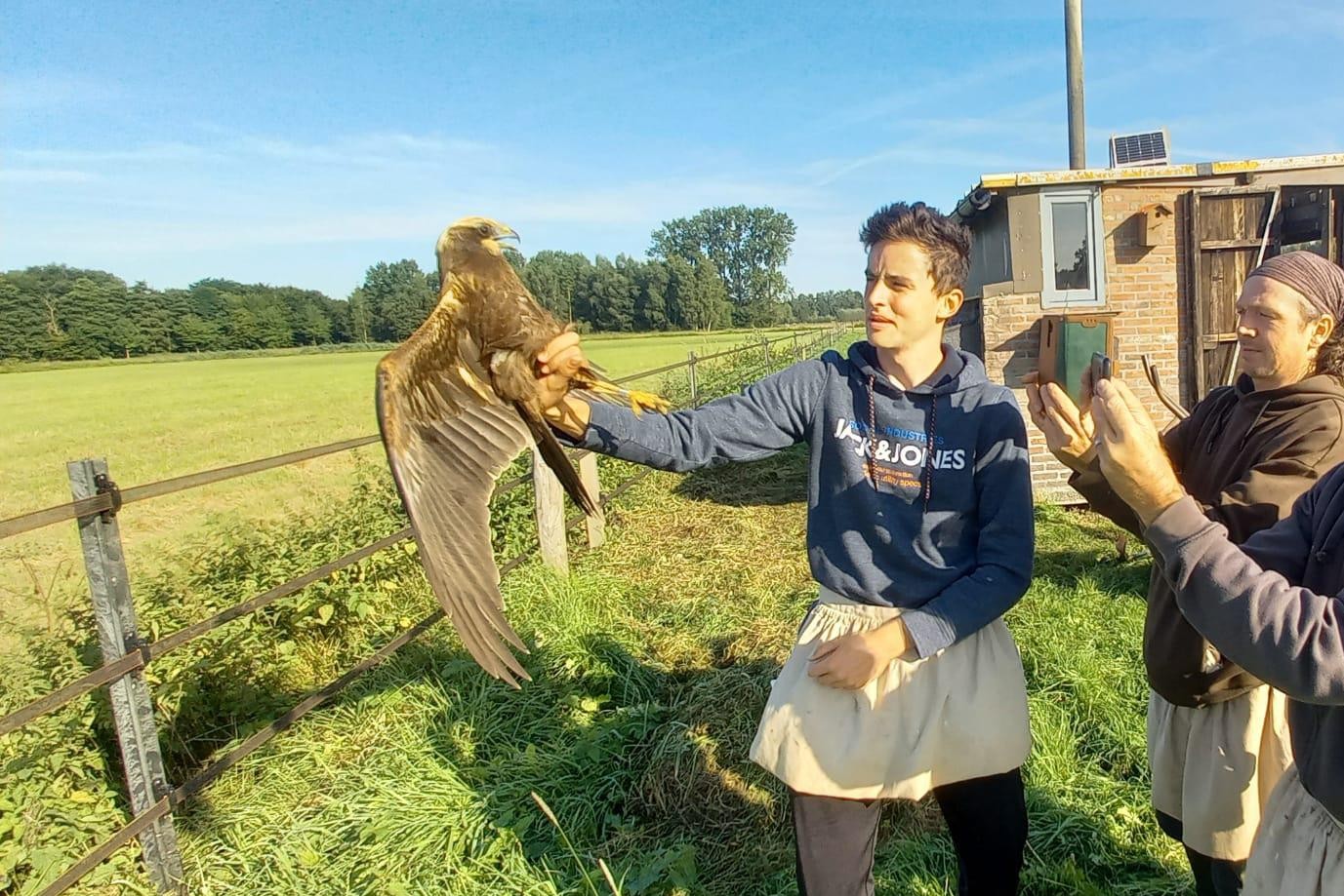 Ward Wuestenberghs (17) Is Jongste Erkende Vogelringer Van België ...