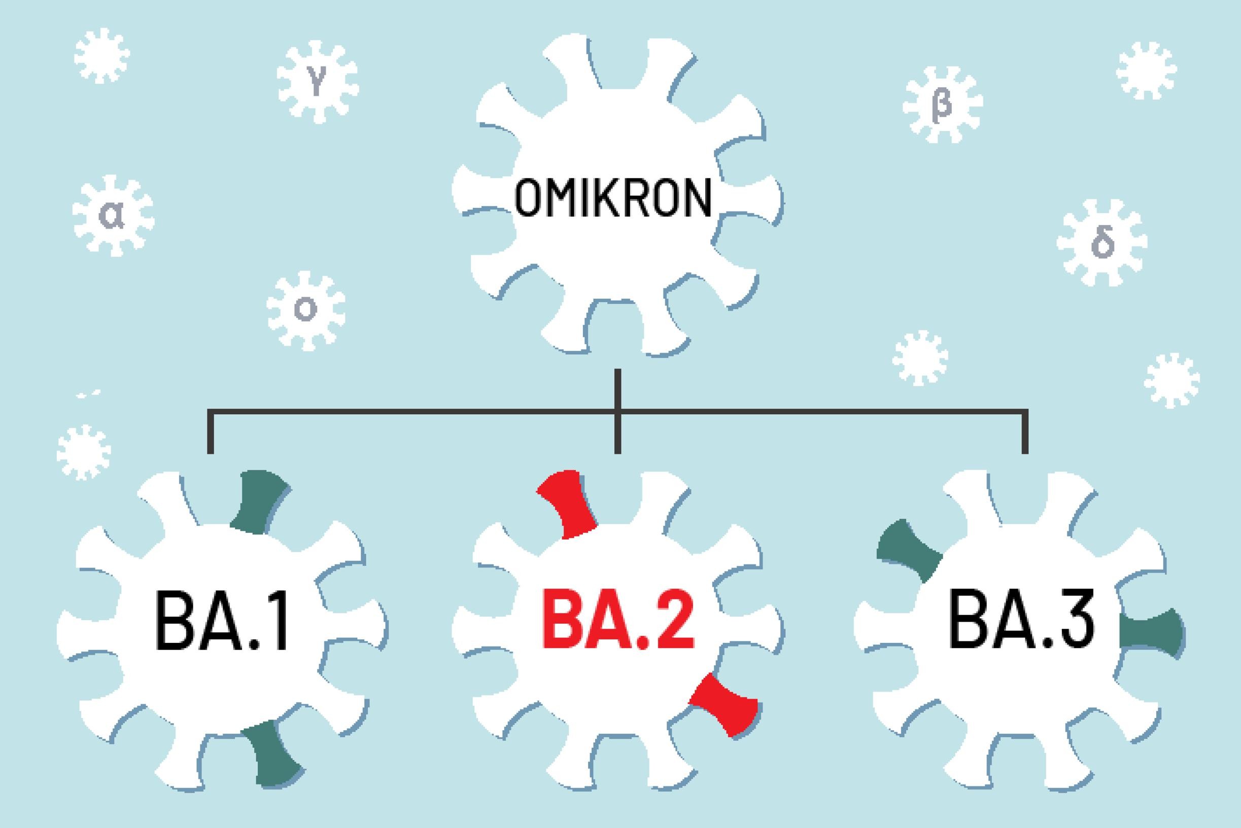 Nieuwe Subversie Van Omikronvariant Is Nu Dominant | Gazet Van Antwerpen