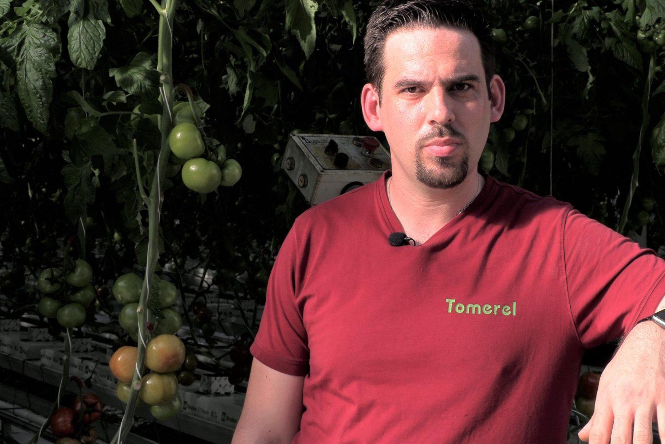 Number of tomato growers in free fall, what’s going on?  “I wonder if we will still be around in thirty years”