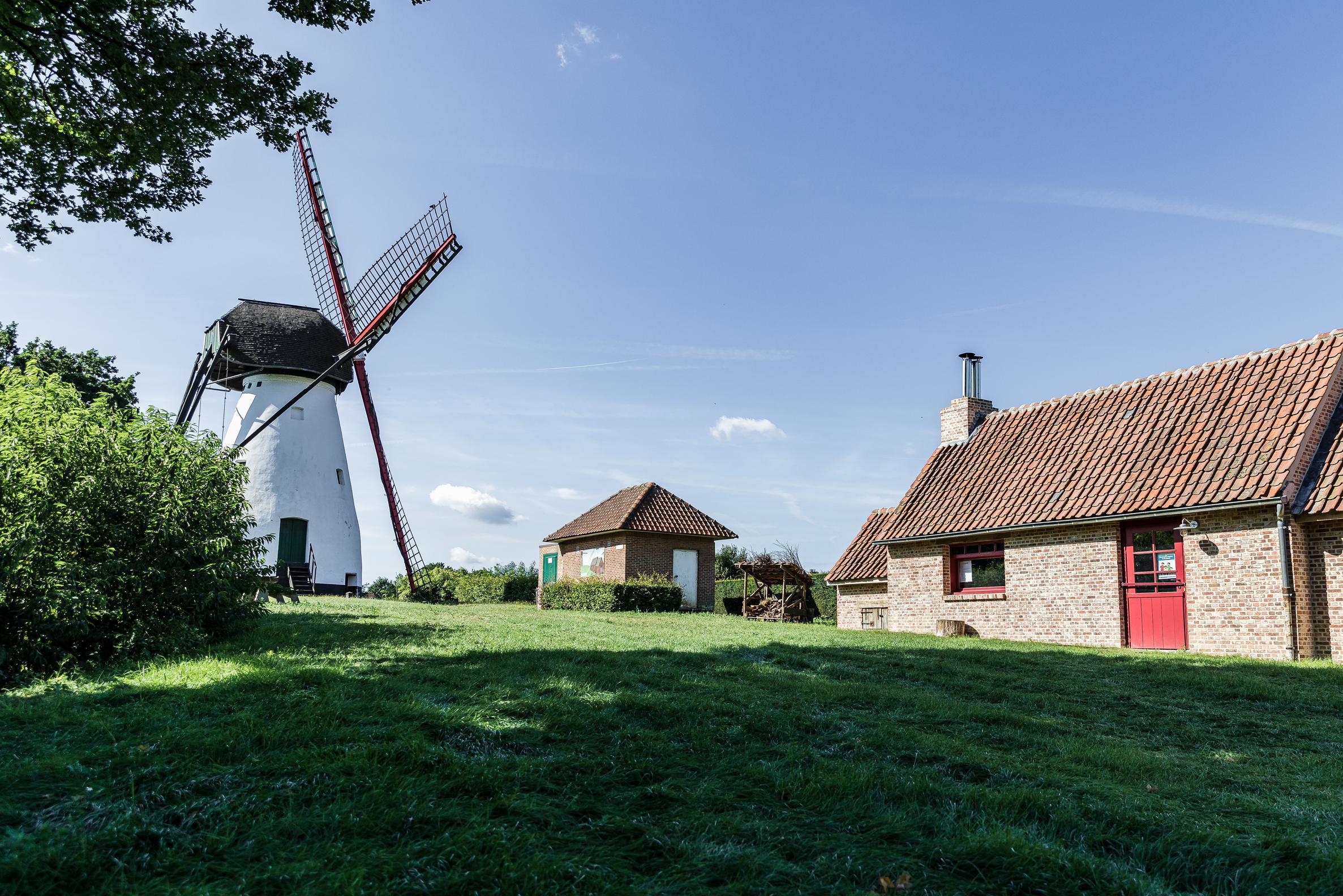 Molen Ezaart zet deuren open voor publiek (Mol) Gazet van Antwerpen