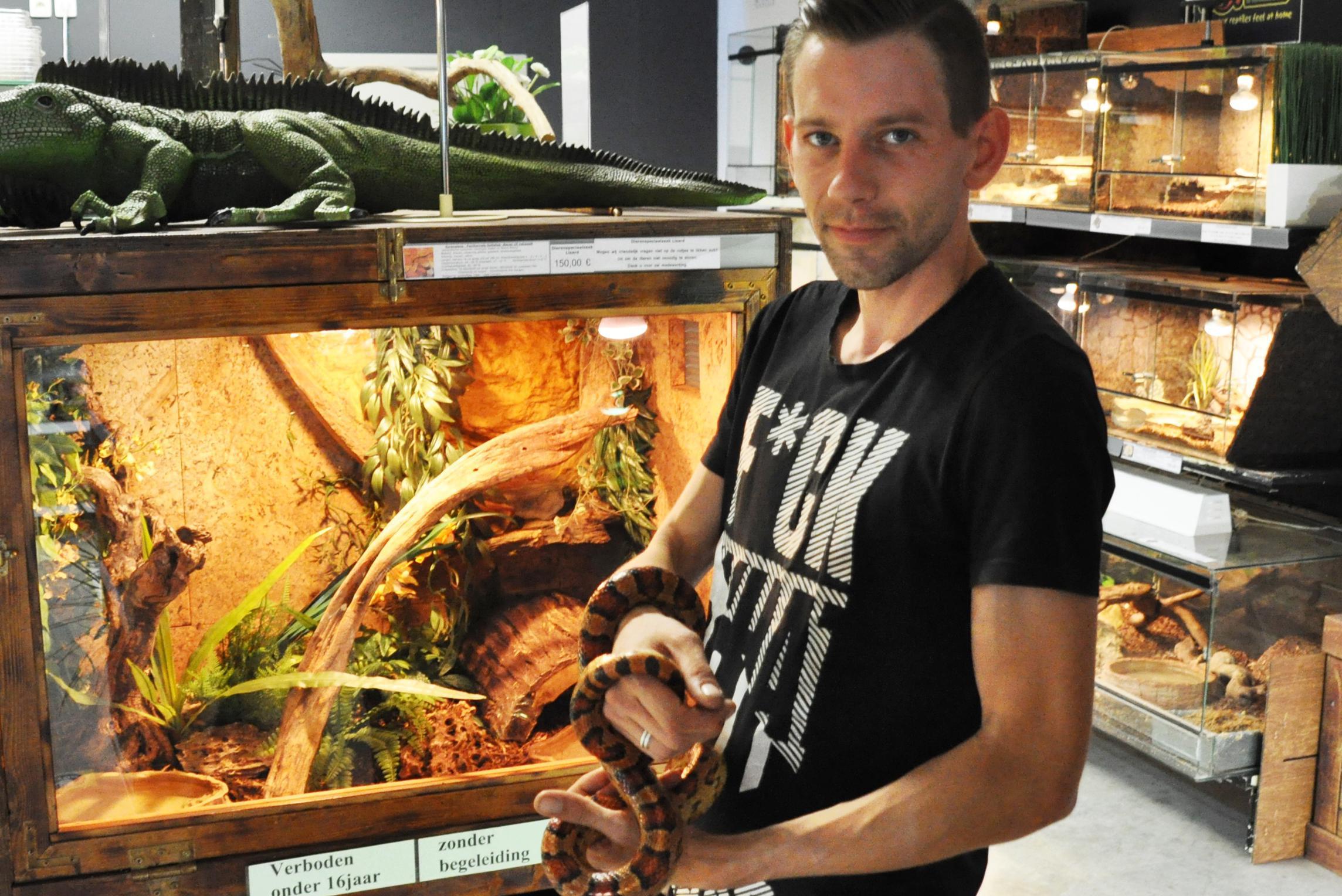 dek bagage Mislukking Jens (29) en Aron (38) openen dierenwinkel vol reptielen en amfibieën: “We  willen mensen behoeden voor impulsaankopen, slangen zijn geen  knuffeldieren” | Gazet van Antwerpen Mobile