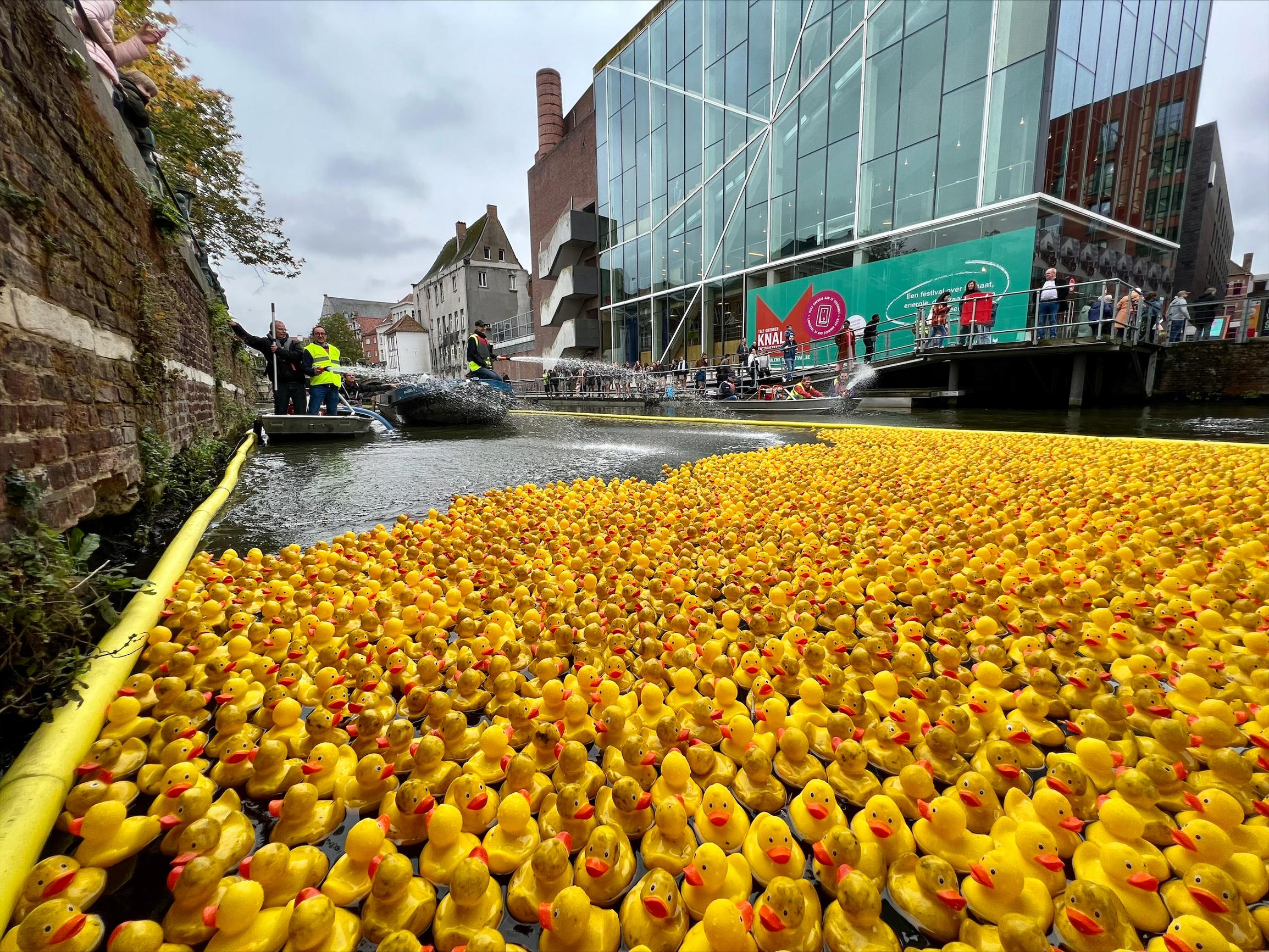met 2.300 badeendjes op Mechelse Dijle levert 6.000 euro op voor goede doelen (Mechelen) | Gazet van Antwerpen Mobile