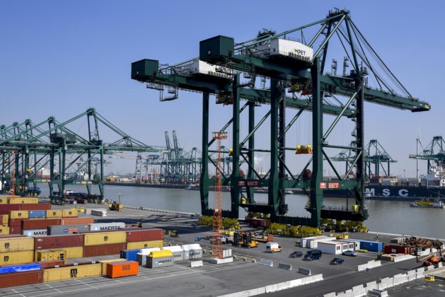 Есть и китайские «краны-шпионы» в порту Антверпена: «Но без Китая нам не обойтись» (Антверпен)