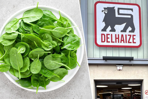 Delhaize risponde a un topo morto in un sacchetto di spinaci: “Questo non può essere escluso al 100%”