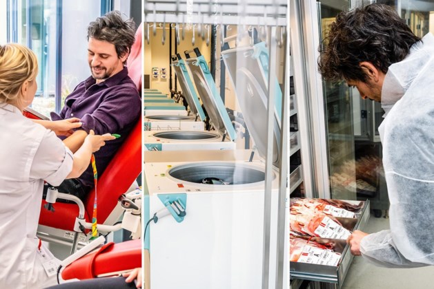 “How donating blood turned me into a barcode: A personal account of the blood donation process”