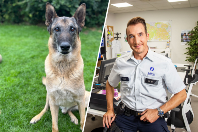 Andy Peelman’s Dog Barry Dies: Actor’s Emotional Farewell and Tribute to His Beloved Malinois