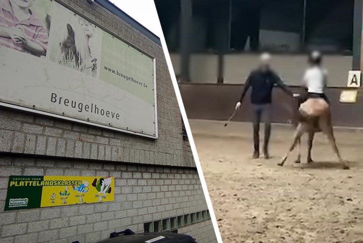 Uitbaatster van manege waar pony mishandeld werd, ontving in het verleden al klachten via Dierenwelzijn
