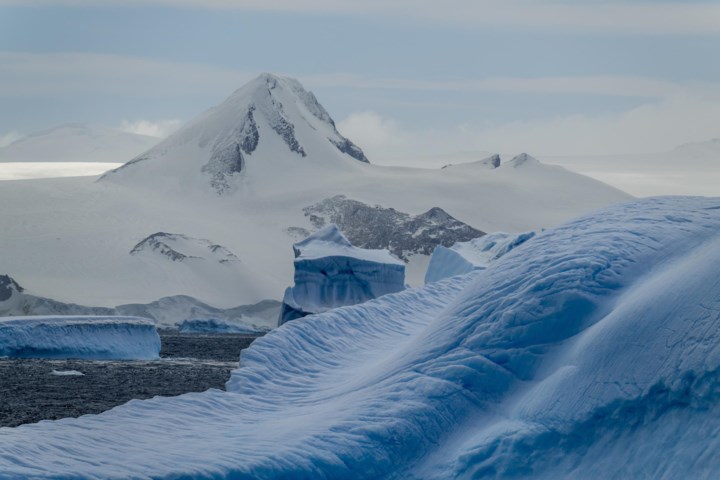 Wetenschappers volgen op drift geslagen ijsberg op de voet: “Kan de oorsprong zijn van nieuw leven”