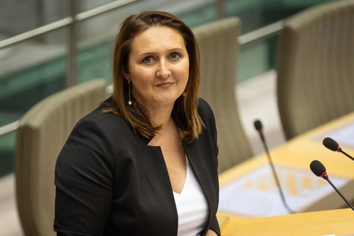 Minister Rutten slaat andere toon aan dan voorganger Somers: geen voorstander van verplichte fusies