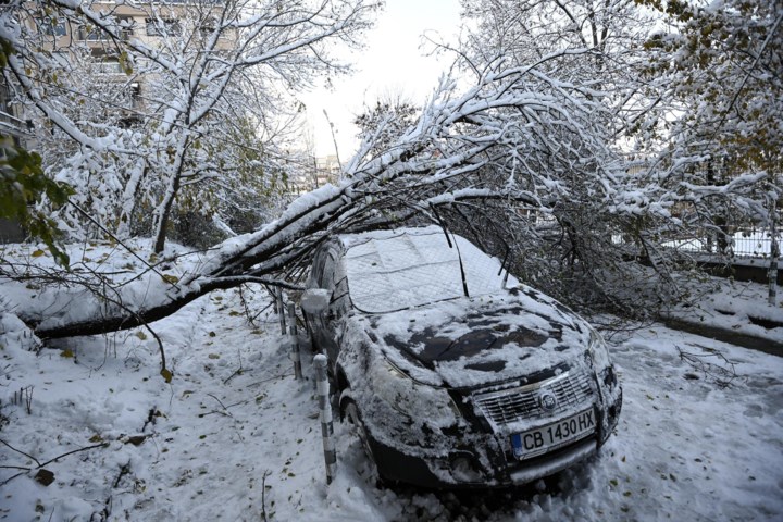 Sneeuwstorm teistert Europa, ook in Duitsland vallen twee doden: kan het bij ons ook zo erg worden?