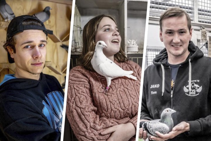 De nieuwe generatie duivenmelkers kiest niet voor kiel, en ook niet voor het grote geld: “Ik heb liever mijn kampioenen in mijn hok, dan een Porsche voor de deur”