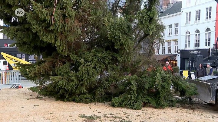Te scheef en te veel afgebroken takken: kerstboom op Grote Markt Aalst al na half uur weggehaald