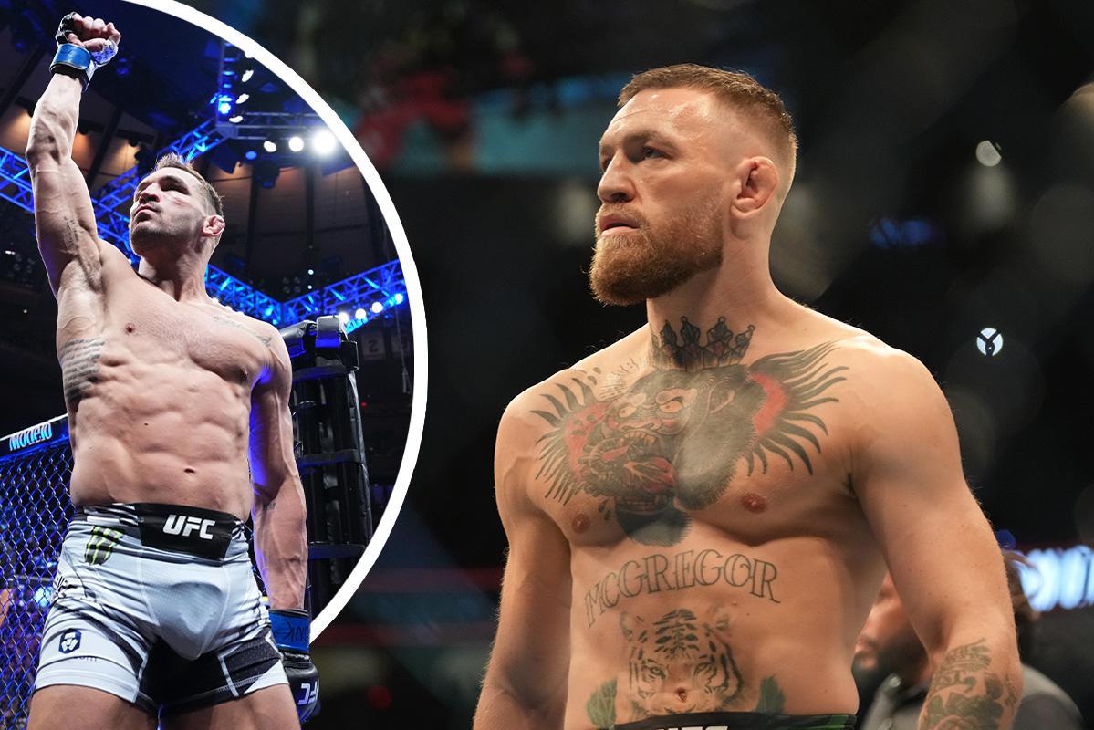 Conor McGregor kondigt langverwachte terugkeer in UFC aan, opponent  reageert met een kwinkslag | Gazet van Antwerpen Mobile