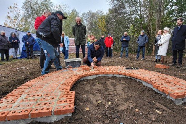 Bomenaren bouwen mee aan nieuw kunstwerk aan Rupeloever (Boom)