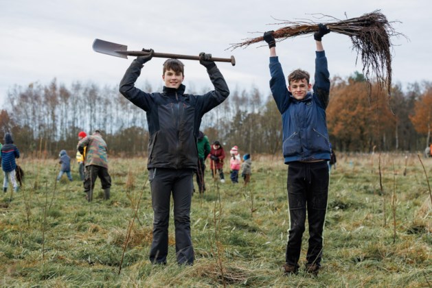 Ambitieus plan om 300 voetbalvelden nieuw bos te planten tegen eind 2024 gaat net niet lukken