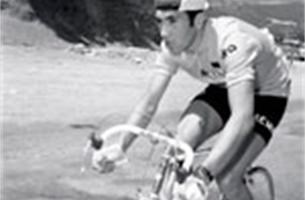 Eddy Merckx gelooft dat driekwart van peloton zuiver rijdt