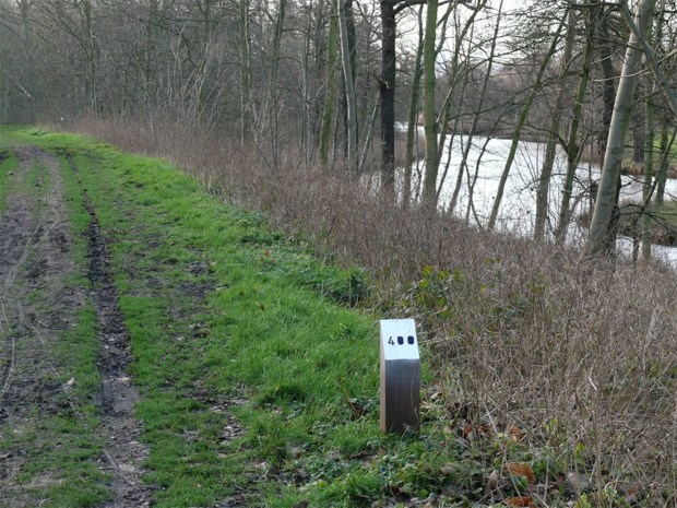 Joggen in Reigersbos en op jaagpad