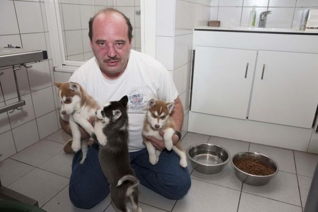 Lastercampagne Tegen Dierenasiel Sint Niklaas Gazet Van Antwerpen Mobile
